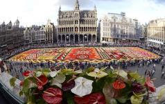 第十二天 第十三天 巴黎 Paris -(308KM) 布鲁塞尔 Brussels -(211KM) 阿姆斯特丹 Amsterdam 上午 : 早餐后前往布鲁塞尔 参观用花岗石铺就的大广场, 广场上的建筑物多为中世纪哥特式 文艺复兴式 路易十四式等建筑形式 之后来到以 第一小公民 -- 朱利安为原型的小尿童像前, 全球最著名的可爱小孩之一 尿尿小童, 是来到布鲁塞尔的游客必定要拜访的人物 (