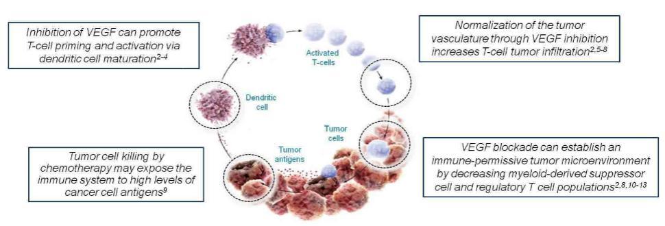 OS:18.83 vs 15.57 mo(hr 0.86; 95% CI 0.69-1.08) 2.1.2 免疫联用放化疗 : 目前主流选择, 但化疗带来的 AE 不可忽视免疫治疗联合化疗 / 放疗 : 目前与化疗 / 放疗的联用在临床中显示了较为出色的疗效, 可能原因在于其解除了 TME 中免疫抑制的环境, 并改善肿瘤细胞的免疫原性, 从而发挥协同作用 2.1.3 免疫联用抗血管生长抑制剂潜力巨大免疫治疗联合抗血管生长 : 肿瘤细胞的生长与肿瘤新生血管有着密不可分的关系, 肿瘤血管不仅为肿瘤细胞提供营养物质, 并帮助其转移和免疫细胞浸润, 血管结构和功能的异常将对免疫效应产生抑制效果, 从而影响免疫系统对肿瘤细胞的杀伤作用 因此, 可通过肿瘤血管正常化, 促进免疫细胞对肿瘤组织的浸润, 改善 TME, 从而增强免疫治疗最终效果 图 7.