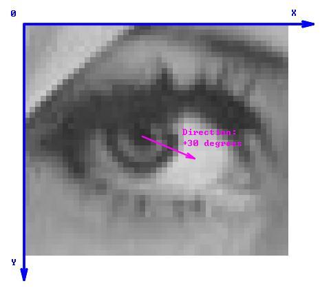 AVL Image avl::image 数据类型存储关于尺寸 像素格式与原始像素值的信息 1 到 4 通道 (X Y Z W) 都可有 支持下面的像素类型 :