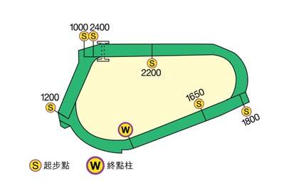 Racecourse 草地跑道 Turf Track 闊 Width : 30.