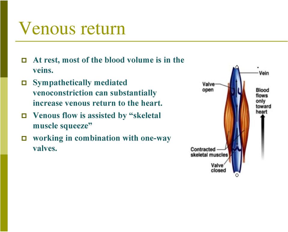 increase venous return to the heart.