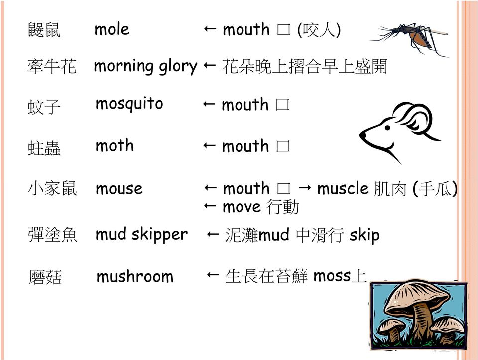 mouse mouth 口 muscle 肌 肉 ( 手 瓜 ) move 行 動 彈 塗 魚 mud
