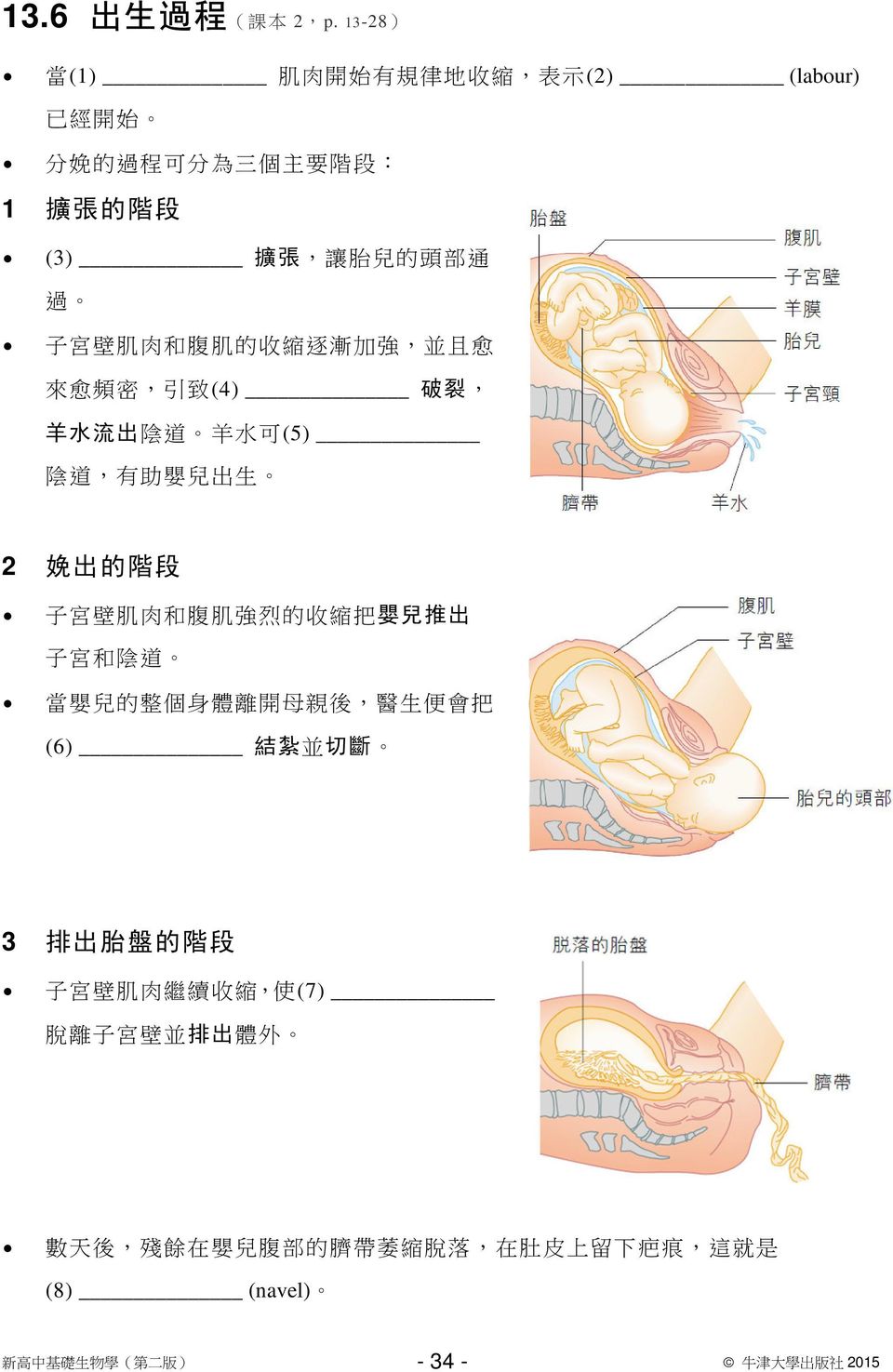 壁 肌 肉 和 腹 肌 的 收 縮 逐 漸 加 強, 並 且 愈 來 愈 頻 密, 引 致 (4) 破 裂, 羊 水 流 出 陰 道 羊 水 可 (5) 陰 道, 有 助 嬰 兒 出 生 2 娩 出 的 階 段 子 宮 壁 肌 肉 和 腹 肌 強 烈 的 收