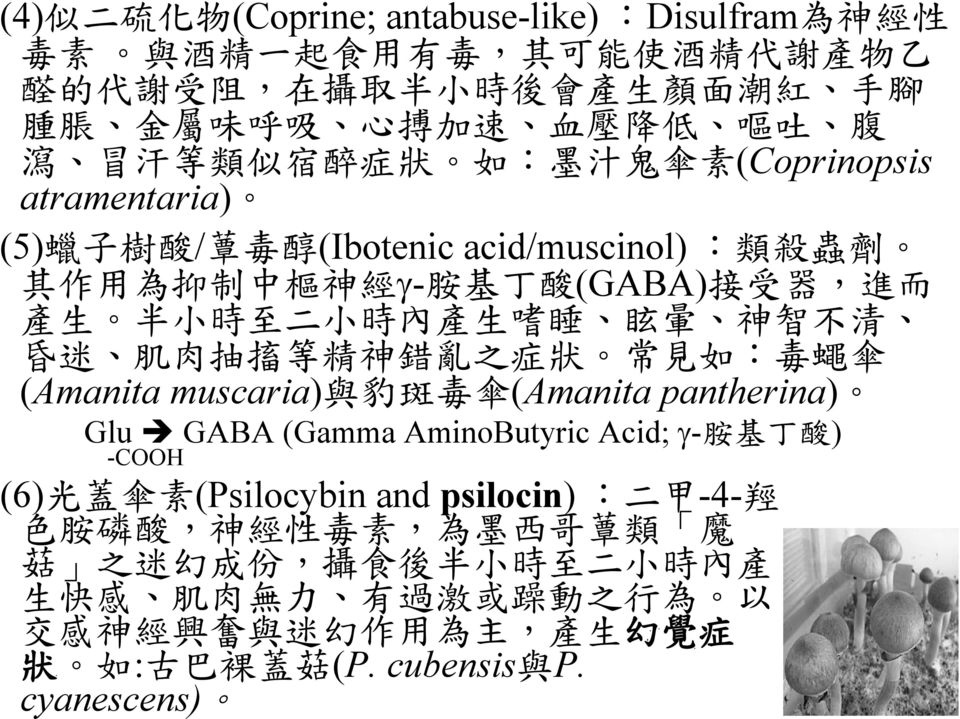 不 清 昏 迷 肌 肉 抽 搐 等 精 神 錯 亂 之 症 狀 常 見 如 : 毒 蠅 傘 (Amanita muscaria) 與 豹 斑 毒 傘 (Amanita pantherina) Glu GABA (Gamma AminoButyric Acid; - 胺 基 丁 酸 ) -COOH (6) 光 蓋 傘 素 (Psilocybin and psilocin) : 二 甲