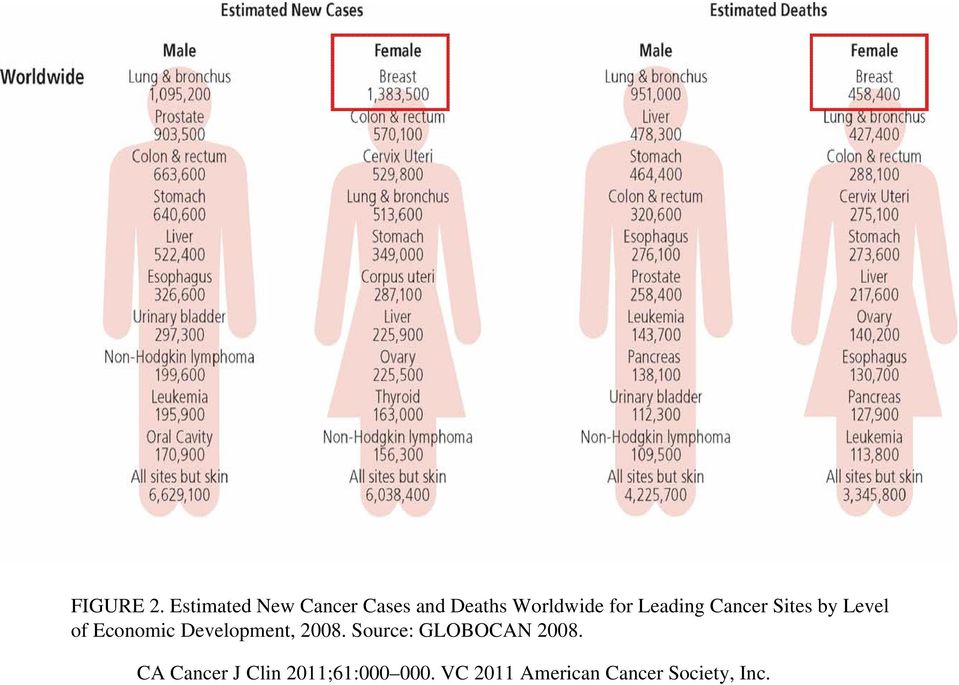 Leading Cancer Sites by Level of Economic Development,