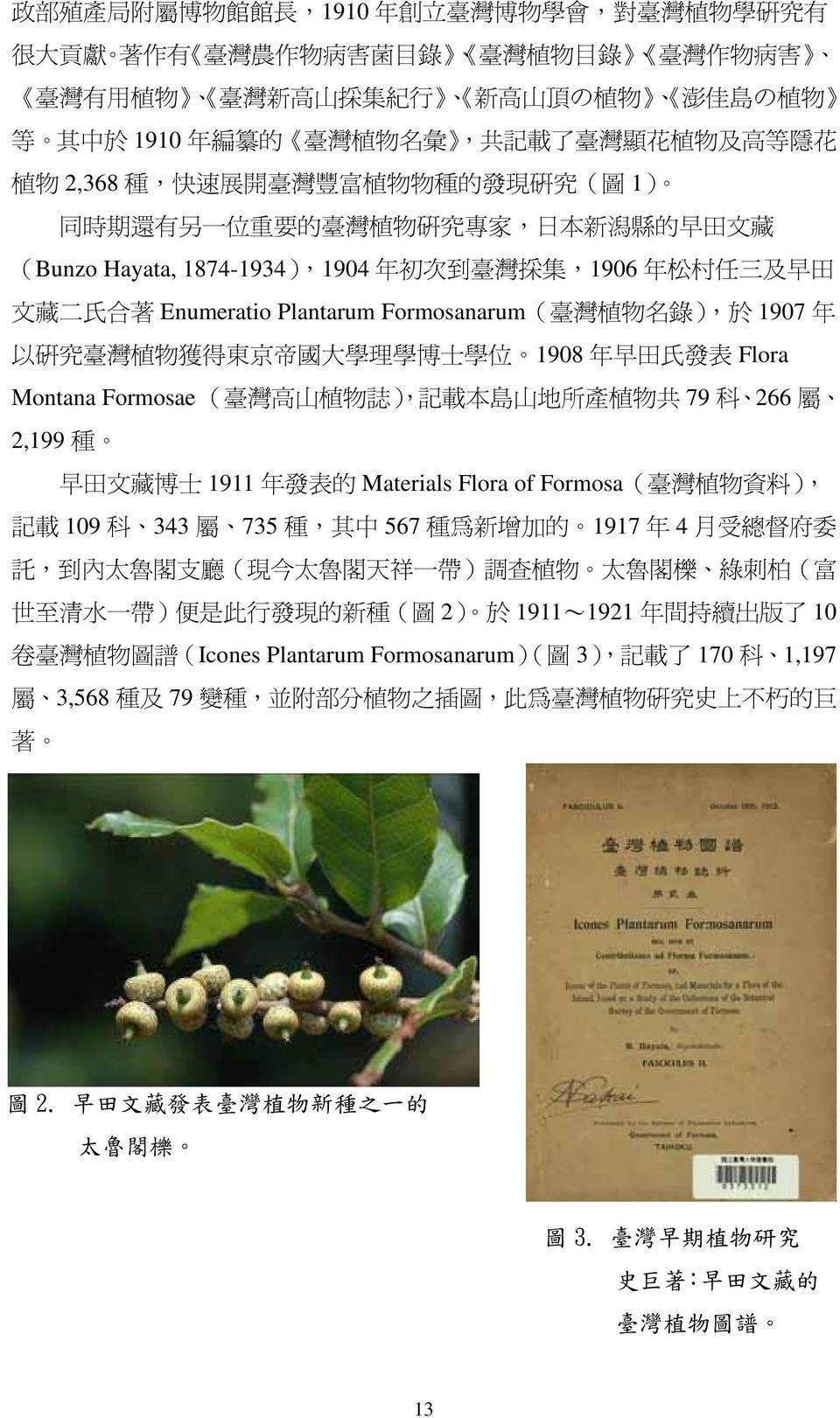 266 2,199 1911 年 Materials Flora of Formosa 料 109 343 735 567 1917 年 4 魯 魯 魯