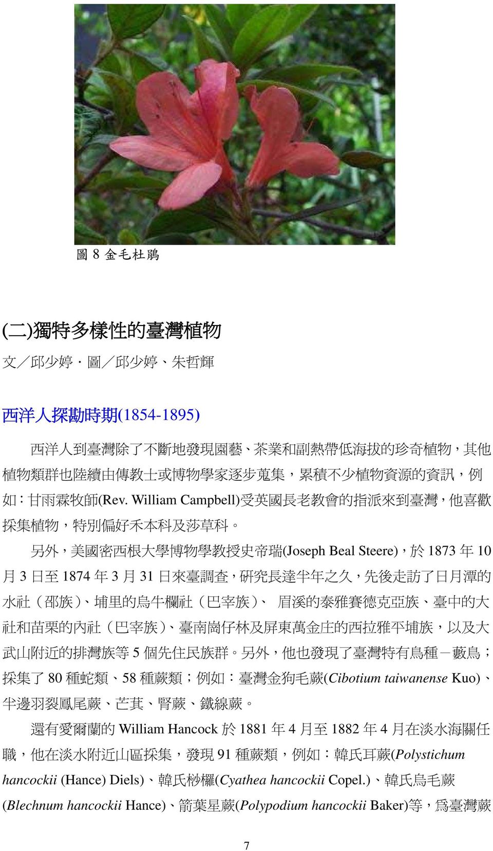 5 了 了 80 類 58 類 例 金 (Cibotium taiwanense Kuo) 裂 蘭 William Hancock 1881 年 4 1882 年 4