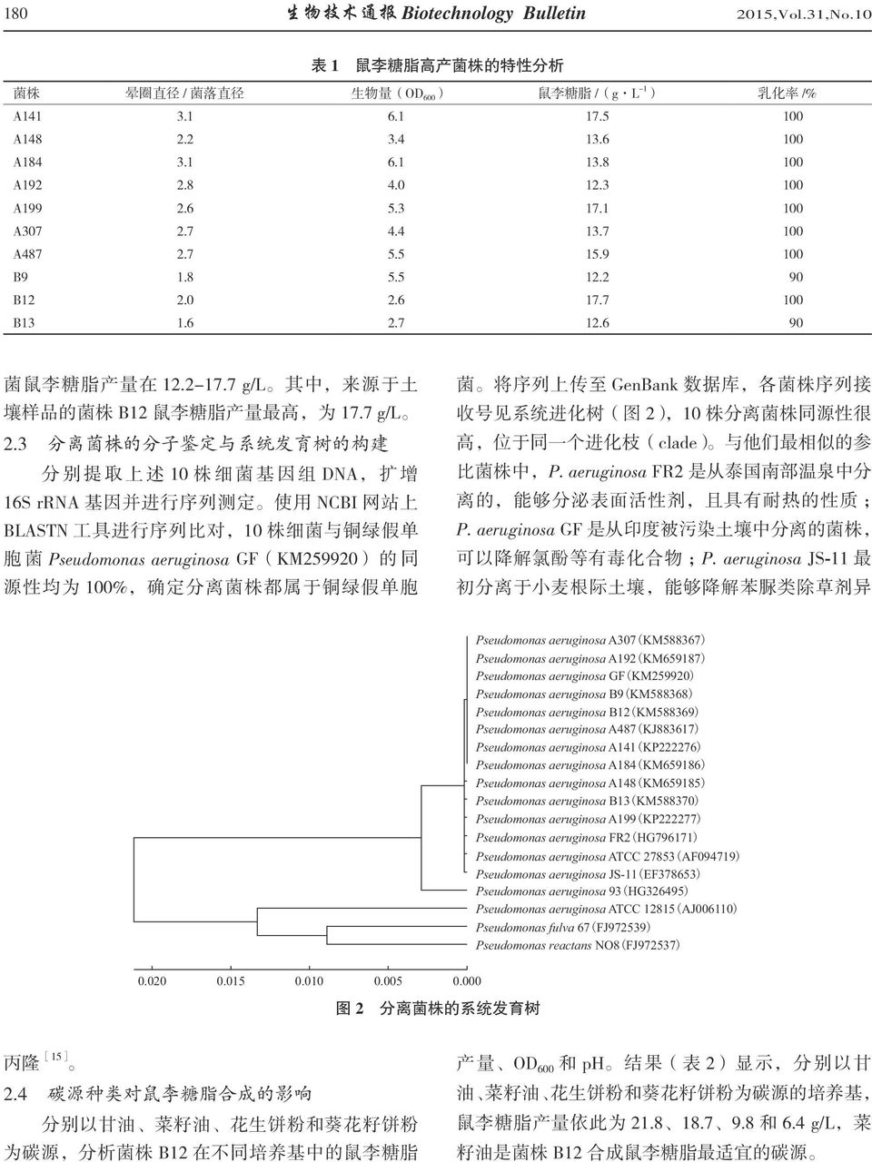 3 分离菌株的分子鉴定与系统发育树的构建 高 位于同一个进化枝 clade 与他们最相似的参 分 别 提 取 上 述 1 株 细 菌 基 因 组 DNA 扩 增 比菌株中 P. aeruginosa FR2 是从泰国南部温泉中分 16S rrna 基因并进行序列测定 使用 NCBI 网站上 离的 能够分泌表面活性剂 且具有耐热的性质 BLASTN 工具进行序列比对 1 株细菌与铜绿假单 P.