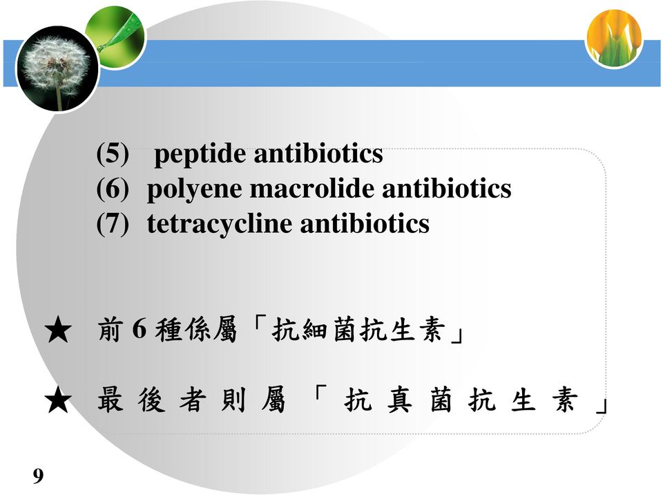 (7) tetracycline antibiotics 前 6