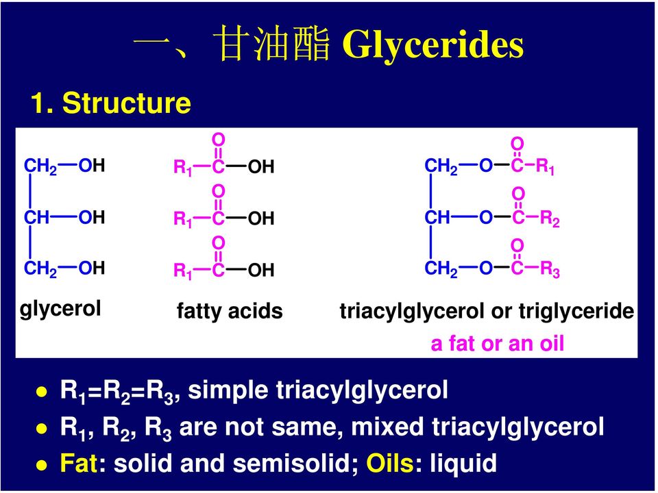 1 R 2 R 3 glycerol fatty acids triacylglycerol or triglyceride a fat or an