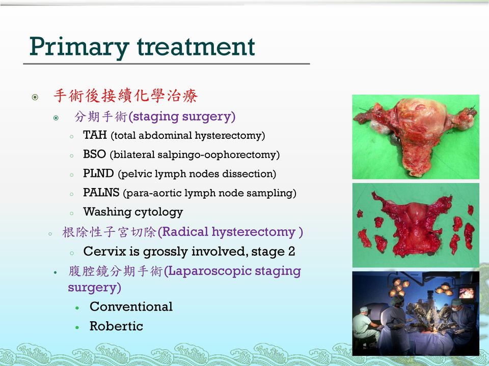 PALNS (para-aortic lymph node sampling) Washing cytology 根 除 性 子 宮 切 除 (Radical hysterectomy