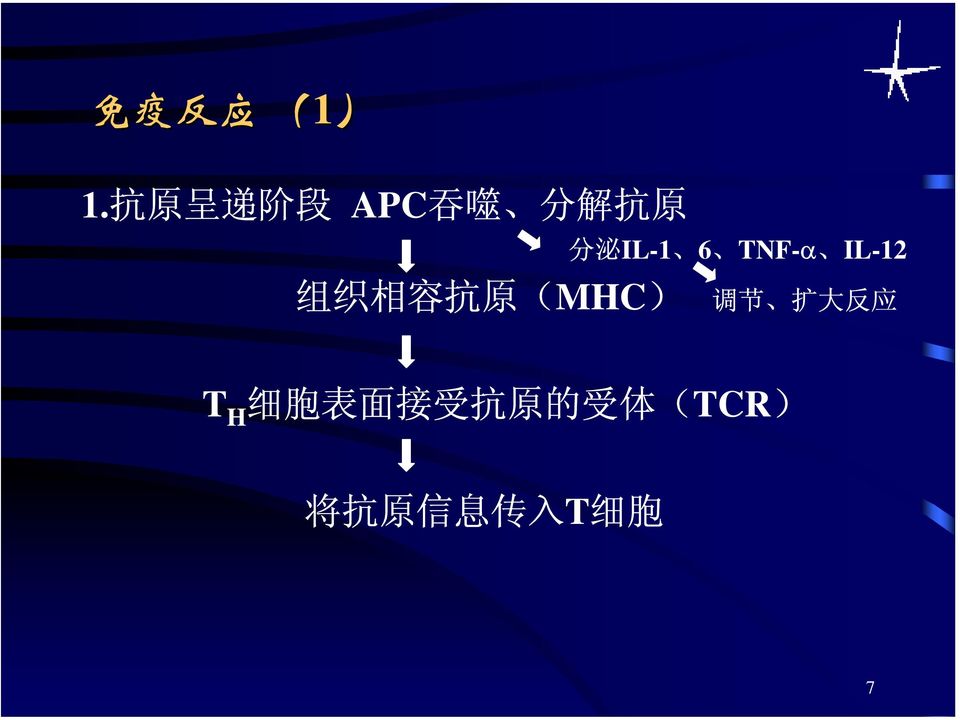 6 TNF-α IL-12 组 织 相 容 抗 原 (MHC) 调 节 扩