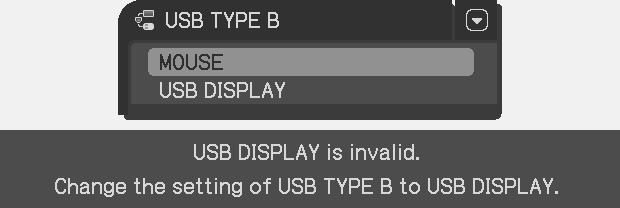 Please confirm the signal input connection, and the status of the signal source. The USB TYPE B port that is not assigned to USB DISPLAY is selected for picture input.