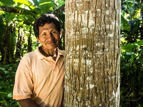 Juan Carlos Huayllapuma/CIFOR 文本框3 促进可持续土地利用和热带森林保护的土地利用规划25 塞尔瓦玛雅是一个覆盖伯利兹 危地马拉和墨西哥 广泛地区的热带森林地区 遭受森林火灾 非法采 伐 动植物开发以及农业前沿逼近等诸多压力 主 要挑战是通过可持续的资源利用来长期保护塞尔瓦 玛雅 土地利用规划将环境保护考虑在内 是一个 旨在促进保护和可持续利用这一地区的更大规划项