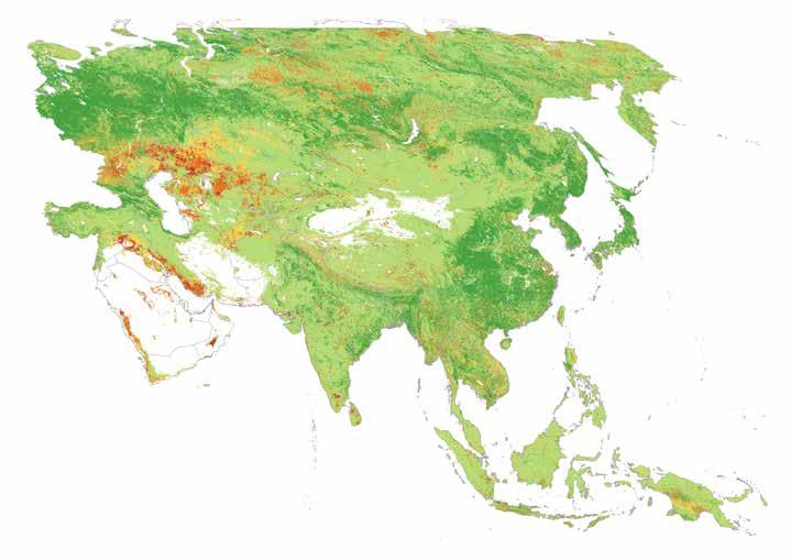 图4.8 显示观察期间5类持续土 地生产率轨迹的1999年 至2013年亚洲土地生产 力动态图 图例 减少 在亚洲 农田的生产力下降幅度相对较小 低于 全球平均水平 约占12% 尽管如此 这也涉及 到多达100万平方公里 看来受到影响的农田 在 许多亚洲国家 有可能导致在生态系统级别土地 生产力水平下降的一些关键压力可能会被相对较 近的输入密集型农业发生的变化所掩盖 以下证