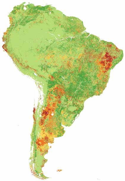 图4.14 显示观察期间5 类持续土地生产率轨迹的 1999年至2013年南美土 地生产力动态图 图例 减少 适度减少 承受压力 稳定 增加 在南美洲 所有LC/LU类都受到负面的土地生产力 趋势的影响 大大高于全球平均水平 而同时土地 生产力增长地区通常也不会超过下降的地区 一直 都低于全球平均水平 全球地图中生产力下降趋势 的主要异常之一是查科干旱地区中广阔的半干旱平 原 其位于阿根廷