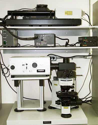 Confocal Microscope Intense light source (laser) Laser combiner