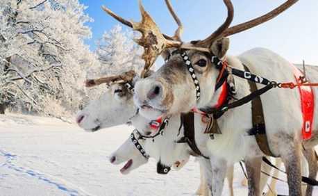 The exhibitions provide the history, nature, people, climate and culture of Lapland as well as of Arctic knowledge.