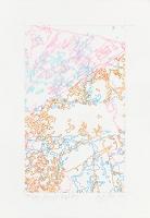 #294 Drawing (Tracings from Buffalo, NY) 绘画 294 号 ( 从纽约水牛城得到描图 ), 2008 Color