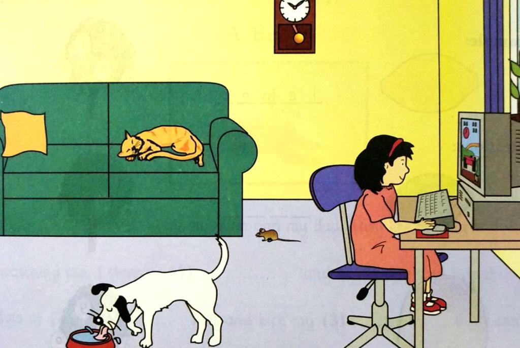 III. For example: The girl is on the chair. The cat is sleeping on the floor. yes no Questions: 11.