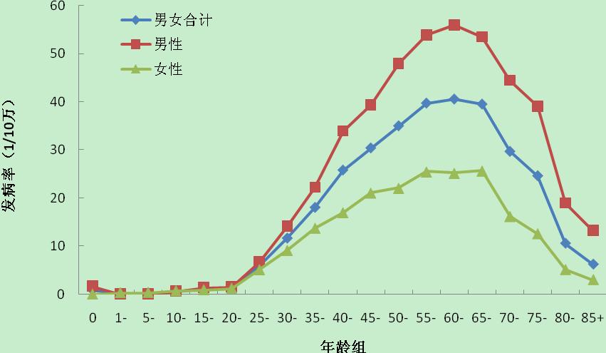 年份性别病例数 表 4-8 广州市 2004-2006 年鼻咽癌的发病 构成 (%) 粗率 (1/10 万 ) 中国标化率 世界标化率 截缩率 累计率 0-74(%) 2004-2006 合计 3586 5.96 16.14 10.81 13.02 30.38 1.40 男性 2393 7.14 21.05 14.23 17.30 40.42 1.89 女性 1193 4.47 11.00 7.
