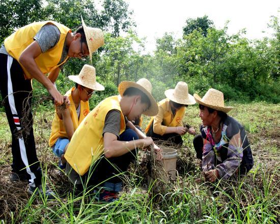 35 青年志愿者向农户了 解农业生态环保情况 5.