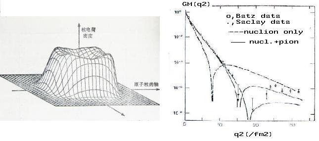 (3) 小角度数据一致 大角度数据偏离意味着荷分布的复杂性 纵坐标 - 形状因子横坐标 4- 动量传递 实验数据和 -P Modle 的偏离 ( 左