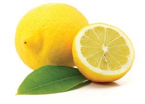 Citrus bergamia 佛手柑的果皮可以用冷压法萃取出精油 在柑橘类中独树一帜 具有平静和舒缓的味 洗澡时使用 深深的嗅吸 尽情体验它的平 静味