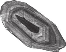 钾长石呈半自形板柱状, 粒径多为 0.3~ 3.