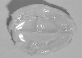 150 发光学报第 32 卷 图 1 掺杂不同 Eu 2+ 摩尔分数的硼硅酸镁玻璃的照片 Fig.