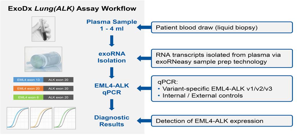 Exosomal RNA-based