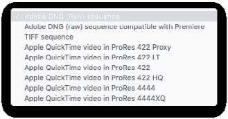ProRes 422 Proxy Apple QuickTime video in ProRes 422 LT Apple QuickTime video in ProRes 422 Apple QuickTime video in ProRes 422 HQ Apple QuickTime video in ProRes 4444 Apple QuickTime video in ProRes