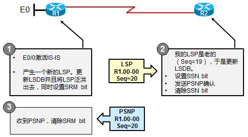 如果 retransmission timout 后仍然没有收到 PSNP 确认, 则始发路由器将重传这个 LSP 在收到关于这个 LSP 的 PSNP 确认后,SRM 被清除 在邻接关系建立过程中, 邻接双方会互相发送 CSNP( 邻接关系建立完成后不再发送