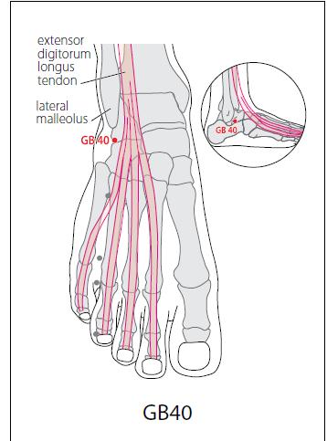 11. 丘墟 在外踝的前下方, 當趾長伸肌腱的外側凹陷處 先取外踝尖 再取外踝尖前下