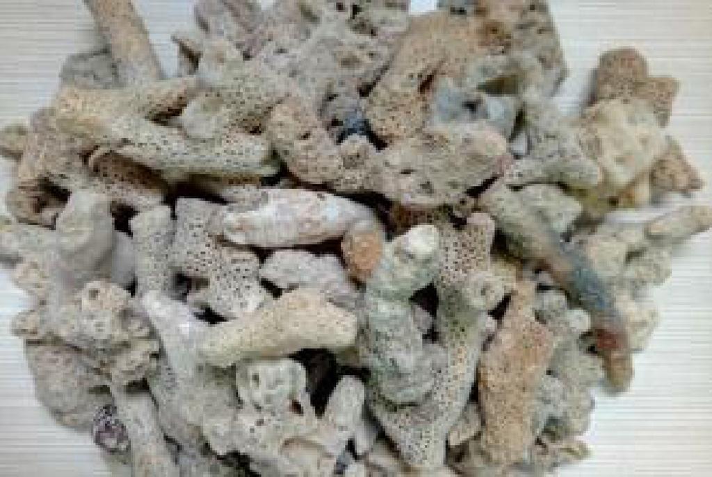 耐久性已无需置疑,但长期处于湿热高盐环境下的 RP 筋,其性能依然会出现不同程度的衰退,进而 影响 RP 筋混凝土结构的力学性能及耐久性 13-15] 珊瑚混凝土材料和南海环境具有显著的特殊性,已 有的试验数 据 和 断 续 的 理 论 研 究 成 果 在 描 述 RP 筋与珊瑚混凝土粘结行为和耐久性性能方面存在明 显的局限性 基于此,本文开展了30 海水浸泡条 件下 GRP 筋 CRP