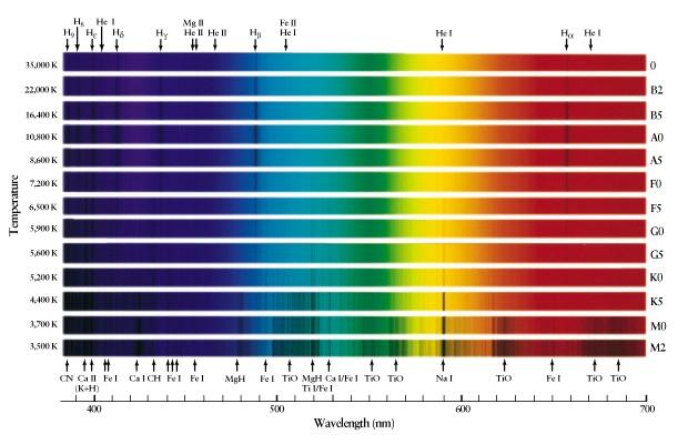 恒星光谱恒星光经过色散系统分光后,