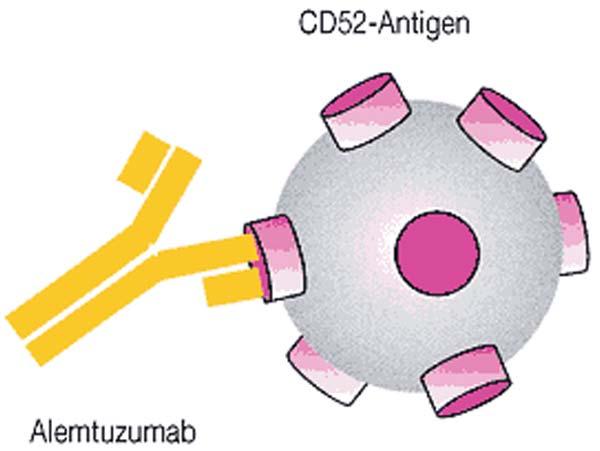 Alemtuzumab (Campath-1H ) Target CD52 on the surface of peripheral blood lymphocytes, NK cells,