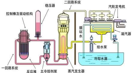 Page 7 图 2: 核电站发电原理 资料来源 : 中国核电信息网, 国信证券经济研究所整理 商用核电反应堆根据反应堆冷却剂 / 慢化剂和中子能分类