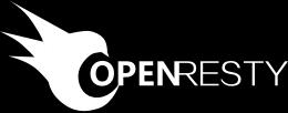 NGINX stream 子系统的简介 以及 OpenResty 对其的 支持 孙 大同