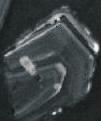 显;石英为它形颗粒状,有时呈不规则状分布于长石 晶粒间;呈零星分布 Q N km N Q