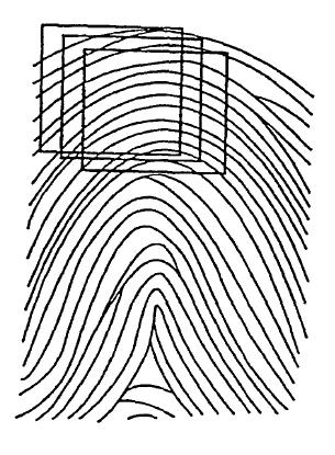 Claim 7 of EP 1150608 Patent A method of checking fingerprints, comprising the steps of System Method for Checking Fingerprints