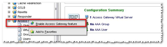 二 配置 Access Gateway SSL VPN 1 在 NetScaler