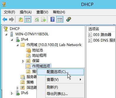 DHCP 管理器窗口中, 点击要修改的作用域, 右击其下方的 作用域选项 配置选项, 在 作用域选项