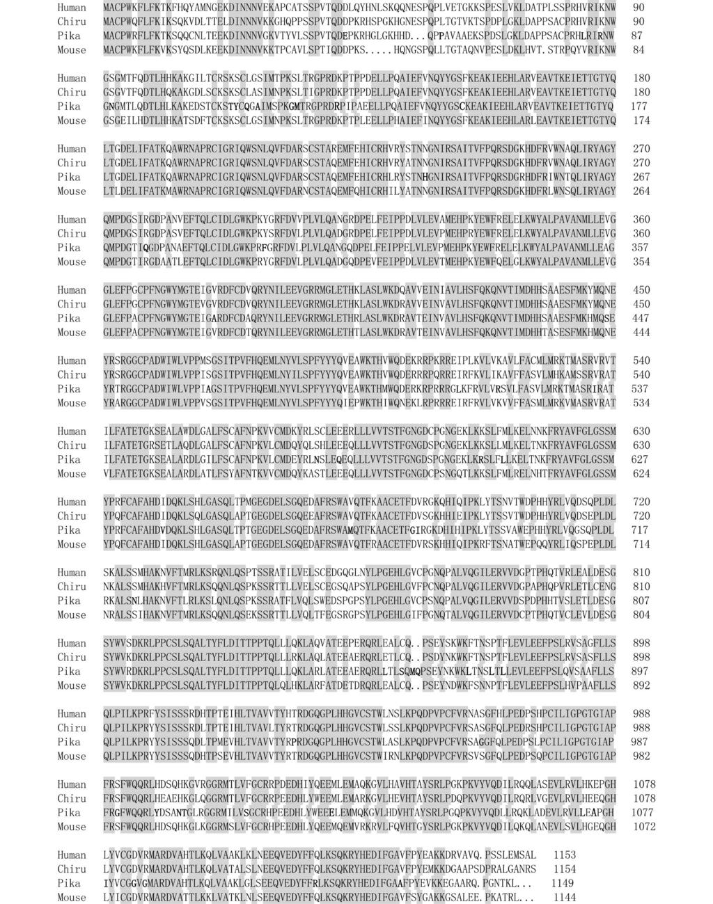 2 NP_000616. 3 AAM11887 XP_005963745. 1 inos inos Fig. 2 Comparison of amino acid sequences of inos among plateau pika human GenBank accession No. NP_000616. 3 mouse GenBank accession no.