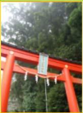 清水寺 嵯峨野浪漫火車連接嵐山與龜岡的浪漫小火車 每年櫻花和紅葉季節,