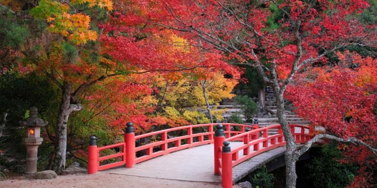 日本特別名勝的文化財產 江戶時代所建的庭園中的代表作 是一種迴遊式池泉山水庭園 被譽為 江戶 第一名園