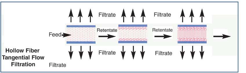 使用 Spectrum HF 模型的 TFF 过滤 10. 使用 Spectrum HF 模型的 TFF 过滤 10.1. 切向流过滤 (TFF) 的基本概念膜对不同成分的分离原理基于成分的大小 大于膜孔径的成分会被膜大量的截留, 而较小的成分可随渗透过程通过膜结构 尽管有其它的技术来驱动分离过程, 如带电荷 ( 如苛性氯细胞 ) 和扩散 ( 如透析和氧化处理设备 ), 仕必纯中空纤维膜组件设计为用于以压力为驱动力的应用当中 10.
