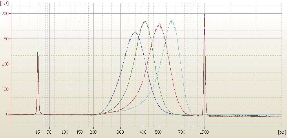 ddh2o稀释至50 μl 重复步骤08-5(步骤4)再次纯化PCR产物 图1-A/B 1