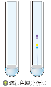 色 筆 畫 在 濾 紙 上, 用 丙 酮 做 展 開 作 用, 因 著 不 同 色 素 對 濾 紙 和 丙 酮 附 著 力 不 同, 故 有 不 同 移 動 速 率 而 分 開 例 題 3 物 質 的 分 離 與 純 化 下 列 有 關 分 離 混 合 物 方 法 的 敘 述, 何 者 錯 誤 〇 (A) 使 用 蒸 餾 法 分 離 物 質 時, 沸 點 較 低 者 會 先 蒸 發 凝 結