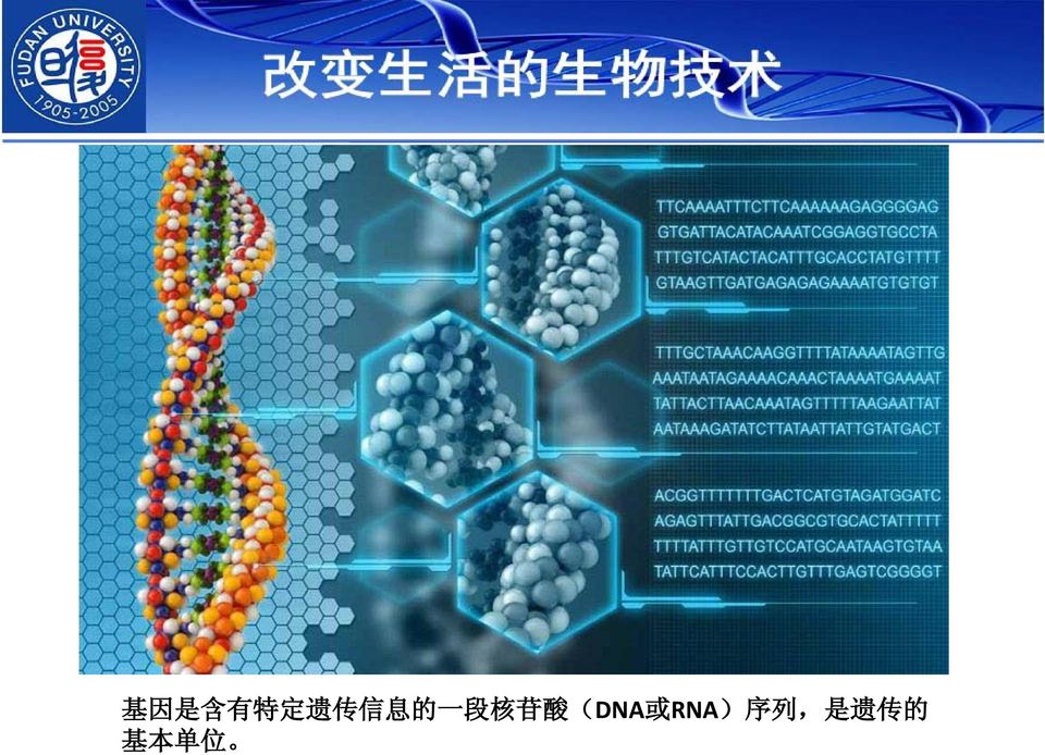 酸 (DNA 或 RNA) 序